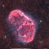 Crescent Nebula (Closeup)